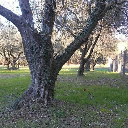 Giardino Degli Ulivi * Roma