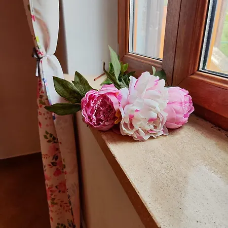 Giardino Degli Ulivi بيت للعطل Carbognano