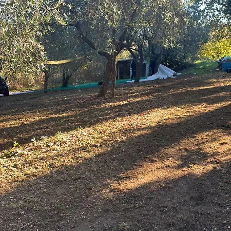 Giardino Degli Ulivi بيت للعطل Carbognano