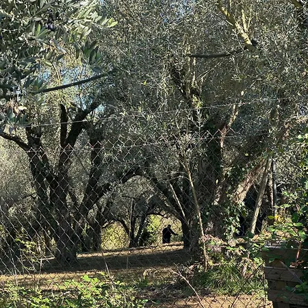 Giardino Degli Ulivi بيت للعطل *