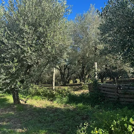 Giardino Degli Ulivi بيت للعطل *