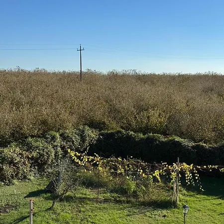 Giardino Degli Ulivi بيت للعطل