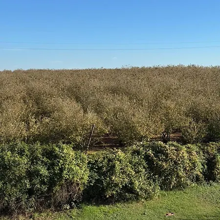 بيت للعطل Giardino Degli Ulivi