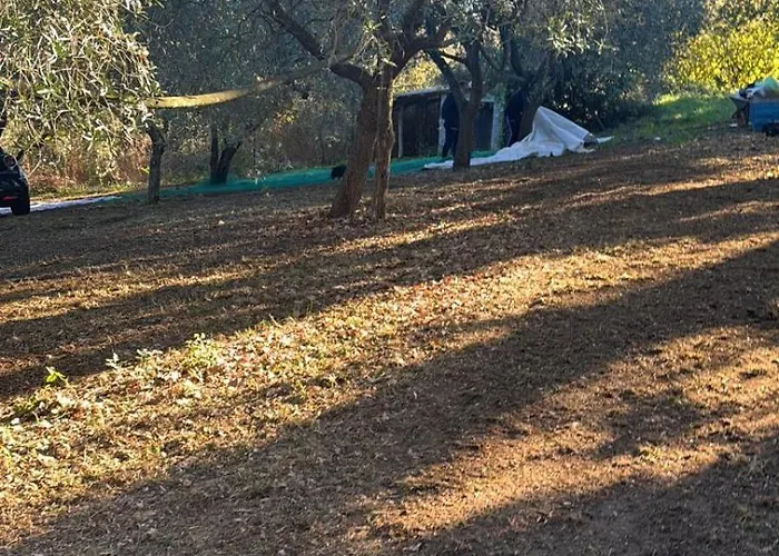 Giardino Degli Ulivi Сasa de vacaciones Carbognano