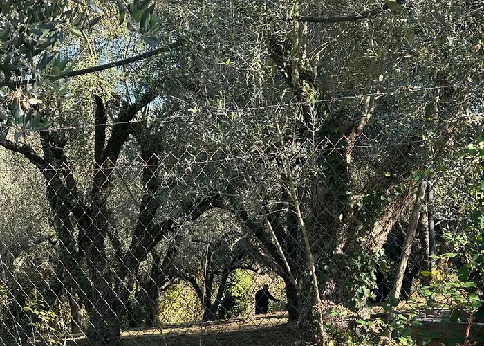 Giardino Degli Ulivi Сasa de vacaciones *