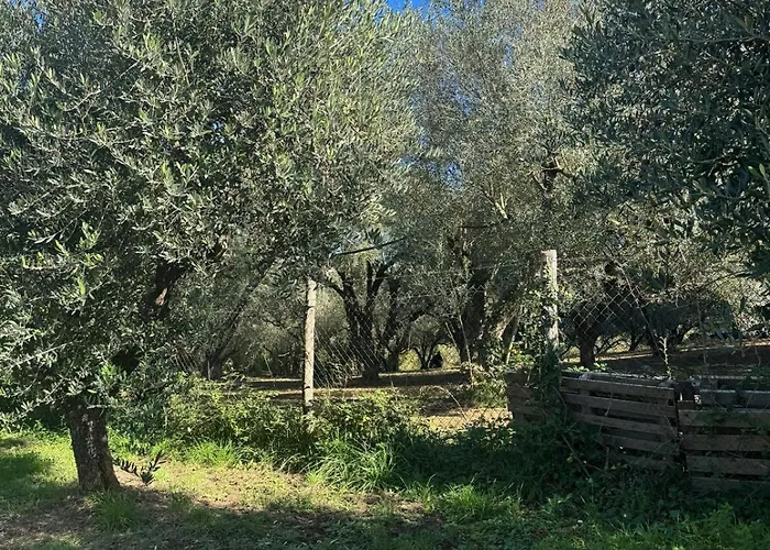 Giardino Degli Ulivi Сasa de vacaciones *