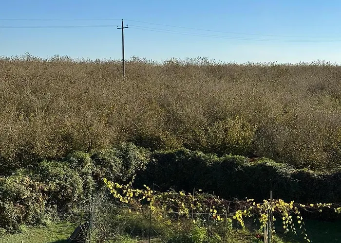 Giardino Degli Ulivi Сasa de vacaciones